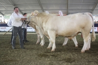 BFRS_2013 290