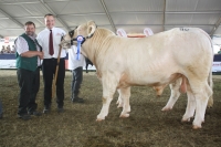 BFRS_2013 304