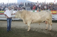 BFRS_2013 347