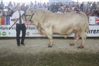 BFRS_2013 348