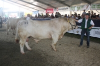 BFRS_2013 349