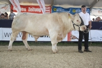BFRS_2013 353