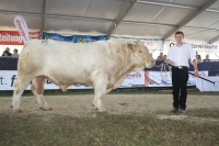 BFRS_2013 356