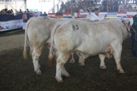 BFRS_2013 363