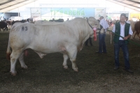 BFRS_2013 369