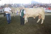 BFRS_2013 373