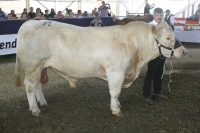 BFRS_2013 376