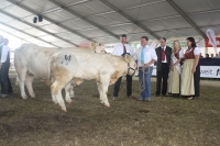 BFRS_2013 537