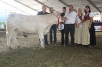 BFRS_2013 539