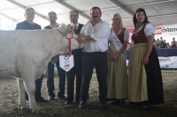 BFRS_2013 543