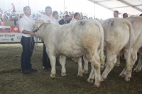 BFRS_2013 551