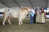 BFRS_2013 555