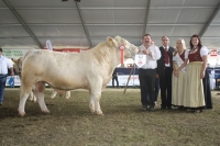 BFRS_2013 559