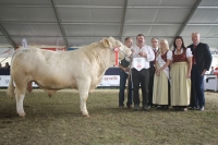 BFRS_2013 565