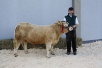 EngelbergMS (Bormio x Argenty)