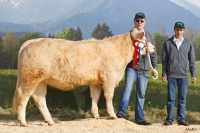 INKA (Okapibb x Jocrisse), Z: Ölzant Anita, Litschau