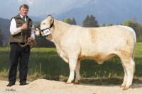BIENE (OkapiBB x Sesame), Z: Tröstl Hedwig, Türnitz
