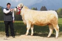 IRENE (Engelberg MS x Sabu), B: Leitner Christian, Bad Schönau