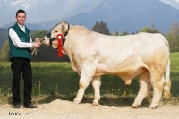 HAMLET (BamBam MS x Russ), Z: Krehan Christian, Weitersfeld
