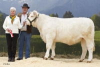 LORE (Richard x Habit), Z: Grosslercher Philipp, St. Veit/Def.