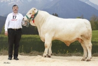 MUNGO (Pinay x Althofen), Z: Pucher Gerhard, Ettendorf