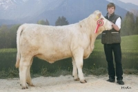 SCARDI (Padirac x Levar)