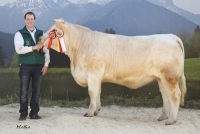 FLORE (NickelAjec x Pedro)
