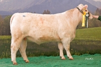 IDELLA (Sabu x Laureat)