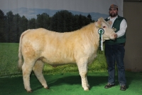 HANNA (Habit x Olymp)