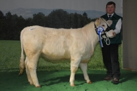 UNIQUE (Asteroide x Romulus)