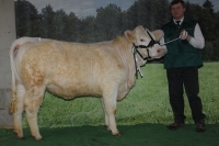 URSEL (Asteroide x Exemple)