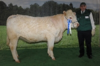 INA (Sabu x Laureat)