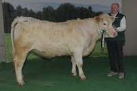 LOTTI (Necessaire x Epsom)