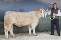 UDESSA (Texan-GIE x Romulus)